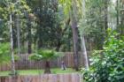 Squirrel patrol in Driftwood Estates....