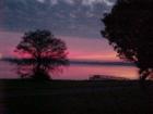 Early morning view in Howey in the Hills