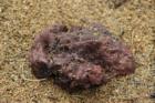 Pumice and Lava Rock - typical of the lake areas in Central Oregon