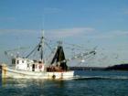 Shrimp Boat in Beautiful Beaufort