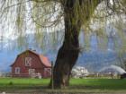 Red Barn Chilliwack River Rd - April 2008