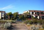 The Willows condominium complex on Shoreline Drive