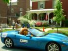 parade