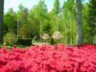 more reds!