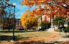 The Quad at MSU