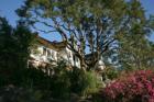 Sonora Home