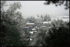 Sonora Winter Storm