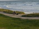 Del Mar