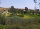 Rolling Hills Ranch