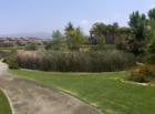 EastLake