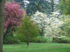 Harts Brook Park Formerly Gillette Estate