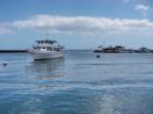 boat harbor at Maalaea