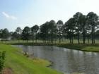 Myrtlewood Golf Course