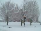 Houlton Maine Court House On A Snowy Day!