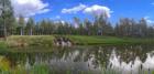 Click to Enlarge 4th Green Canyon Course