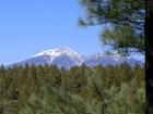 Mt. Humphreys View from Forest Highlands Home