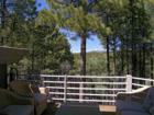 Deck View from Forest Highlands Home