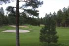 View of Meadows Course - Forest Highlands 
      