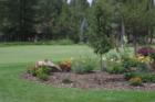 Summer Flowers at Forest Highlands 