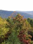 Views of Rich Mountain in Fannin Co.