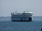 The SteamShip Authority's Island Home