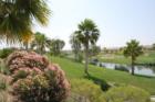 Golf Course at Sun City Shadow Hills in Indio, CA