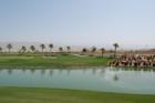 Golf Course at Sun City Shadow Hills in Indio, CA