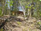 cabin in the woods