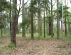 Holiday Lake Estates at Lake Raymond Gary