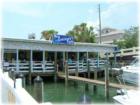 Sea Critters Cafe - St Pete Beach