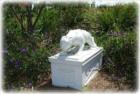 Snell Isle Panther