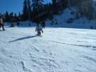 Big Bear