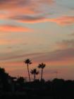 Coronado