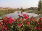 EastLake