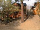 Big Bear