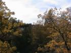 Big Bear