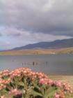 EastLake Otay Lakes