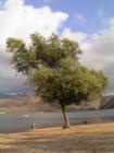 EastLake Otay Lakes