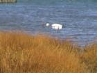 Oyster Bay New York