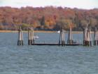 Oyster Bay New York
