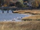 Oyster Bay New York