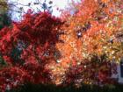 Oyster Bay New York
