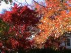 Oyster Bay New York
