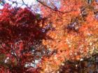 Oyster Bay New York