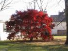 Oyster Bay New York