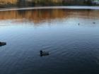 Cold Spring Harbor