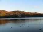 Cold Spring Harbor