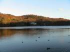 Cold Spring Harbor