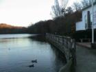 Cold Spring Harbor