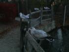 Cold Spring Harbor